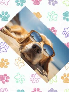 Peitto Yksi valokuva